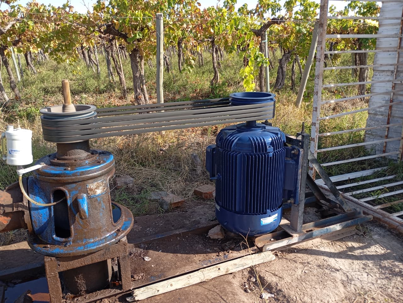 Reparación de Motor